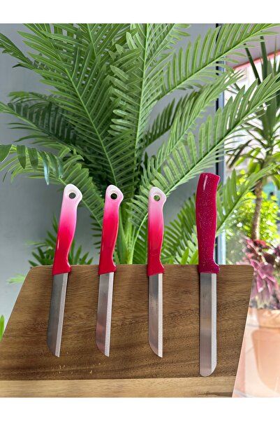 Solingen Pembe Ebruli 3’lü Meyve Bıçağı + Simli Pembe Mikro Tırtıklı Sebze Bıçağı
