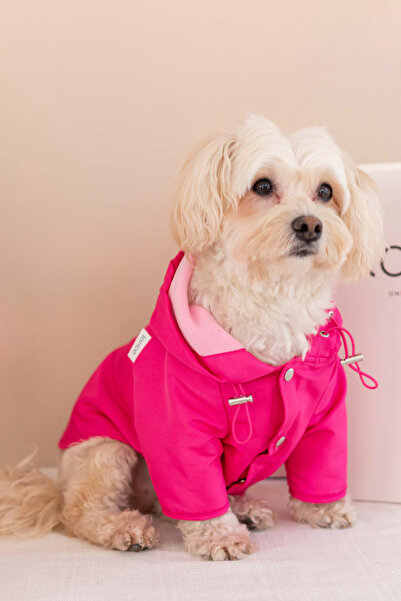 Lorico Dog Raincoat and Sweatshirt Two-Pack