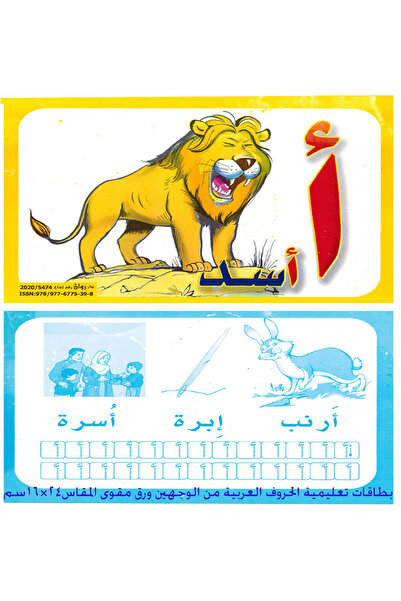 Educational الكروت التعليمية الحروف العربية حجم كبير