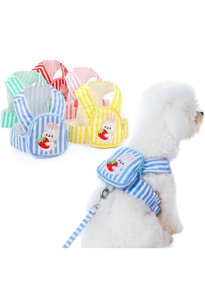 Hediye Rüzgarı طقم طوق للمشي للقطط والكلاب مع حقيبة، قابل للتعديل ومتين