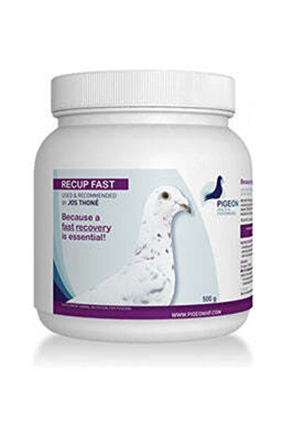 Pigeon RECUP FAST