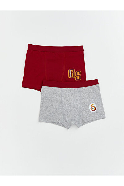 LC Waikiki Quality Parts from Çelebi Store Licensed Printed Boys' Boxer 2-Pack