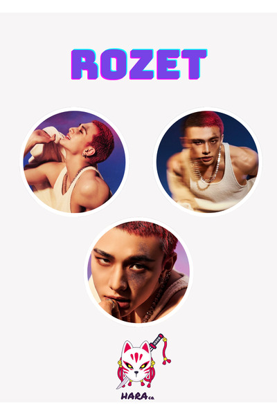 Hara Company Stray Kids Kpop Karma Albüm Hooray Versiyonu Hyunjin Rozet Seti ...