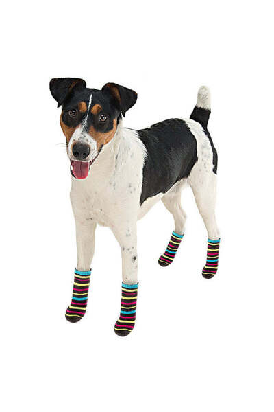 Ferplast جوارب للحيوانات الأليفة مضادة للانزلاق، المقاسات: صغير، الأبعاد: 6.5...