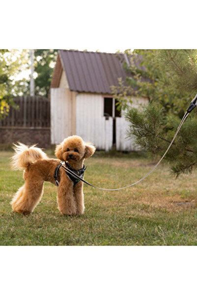 Ferplast Ergocomfort G Leadاللون: فضي، الأبعاد: 25 مم × 120 سم