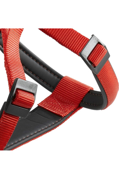 Ferplast حزام دايتونا بي نايلون، اللون: أحمر، الأبعاد: 42-48 سم × 10 مم - 43-...