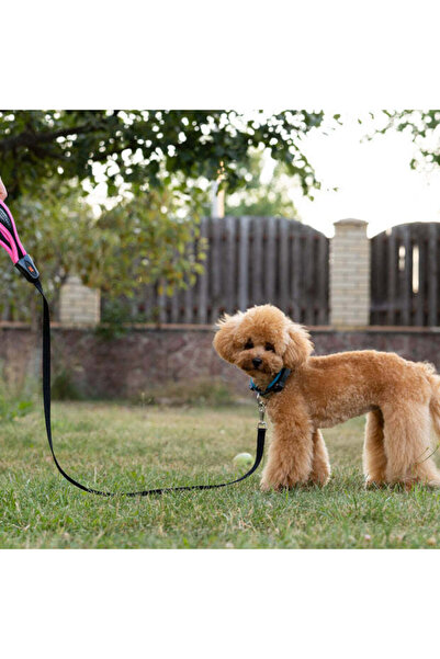 Ferplast Ergocomfort G LeadColor: Silver, Dimension: 15mm x L 120cm