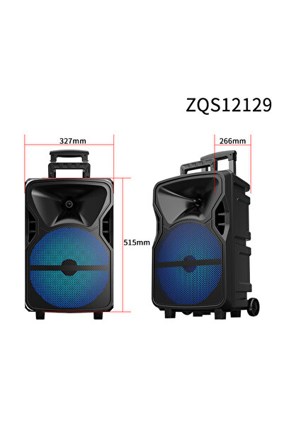singe ZQS12129 12 Inch DJ System Karaoke Party Trolley Speaker With Two Microphone