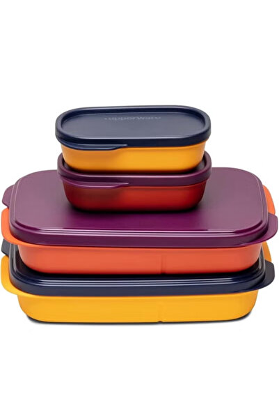 Zen Store Tupperware My Lunch Plastic Lunch Box by Balaji, 590 ml, 2-piece (Multicolor)