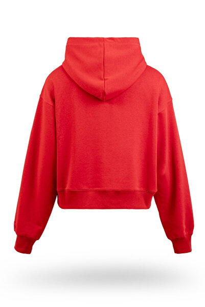 Tarrzzcom Wind Hooded Women's Sweatshirt