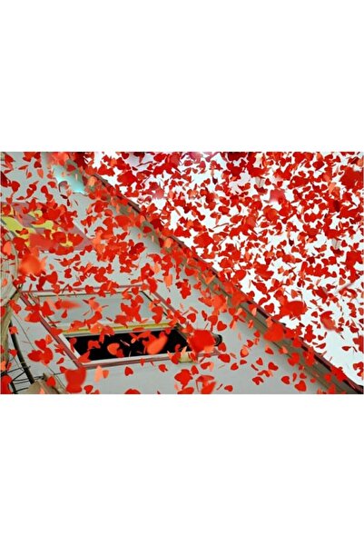 Fabrilux Confetti Cannon 60cm with Red Rose Petals (Compressed Air) – Ideal for Weddings & Parties