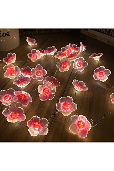 Innovate Store Kiraz Çiçeği Ev Dekorasyonu Led Aydınlatma Seti 2Metre 20 Led Çiçek Aydınlatma Aksesuar