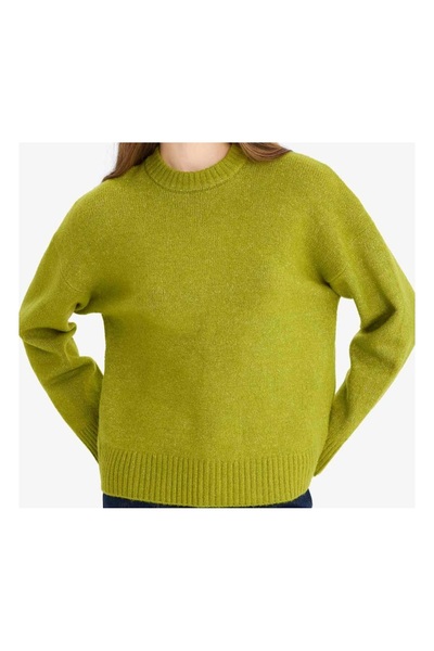 Vaniza Standard Size Plain Green Sweater