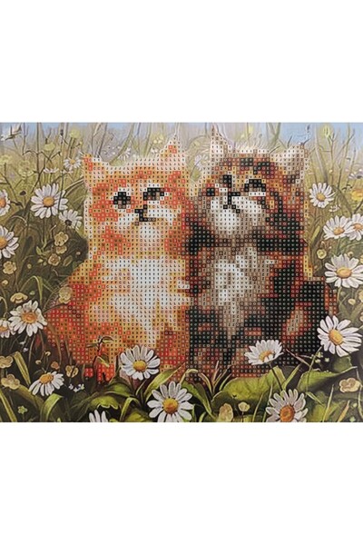 mentaş grup Beaded Rhinestone Mosaic Diamond Tapestry Pono Painting Picture Puzzle For Children 21x25