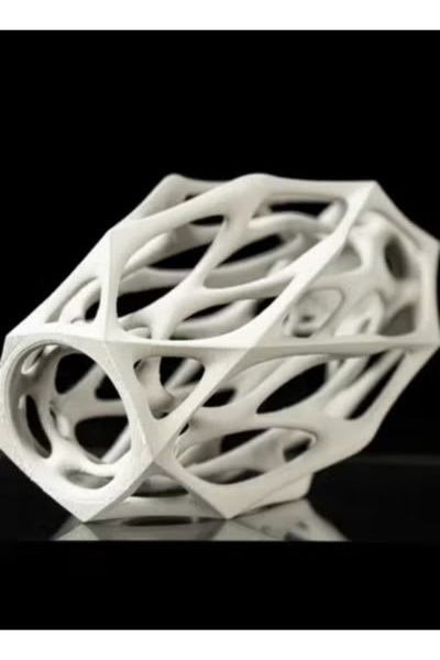 3D Brothers Mantis Flower Vase - A Fusion of Elegance and Modernity