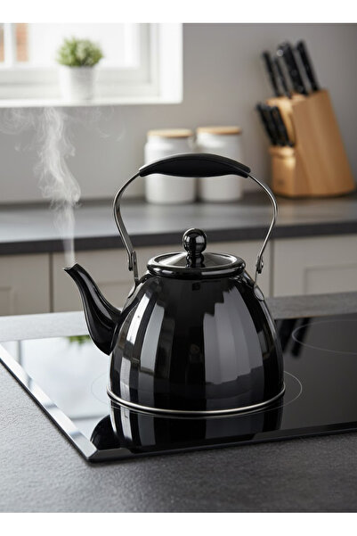 Vadi إبريق شاي من الفولاذ المقاوم للصدأ مع مقبض مريح سعة 2 لتر