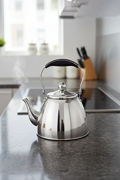 Vadi إبريق شاي فضي من الفولاذ المقاوم للصدأ بمقبض مريح سعة 3 لتر