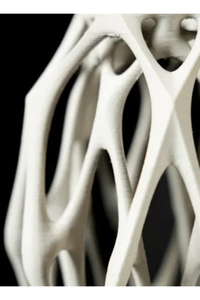 3D Brothers Mantis Flower Vase - A Fusion of Elegance and Modernity