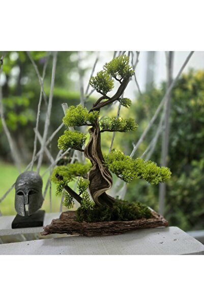 Decoroon El Yapımı Doğal Ağaç Kabuğu Üzeri Bonsai Dekoru – Gerçek Yosunlu Mas...