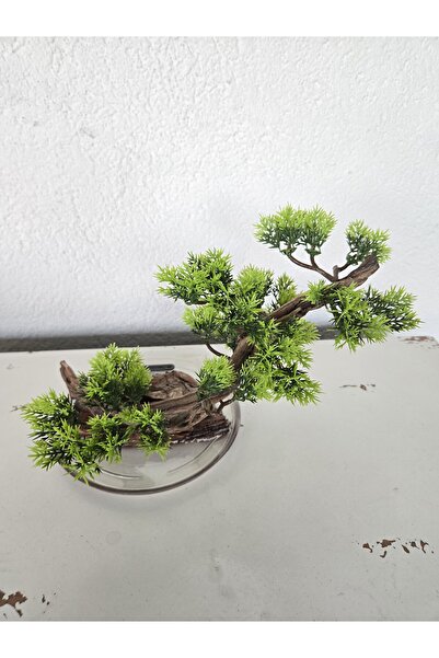 Decoroon El Yapımı Eğimli Bonsai Dekor – Epoksi Tabanlı Driftwood Ağaç (Yeşil...