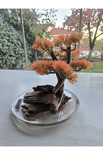 Decoroon El Yapımı Eğimli Bonsai Dekor – Epoksi Tabanlı Driftwood Ağaç (Yeşil...