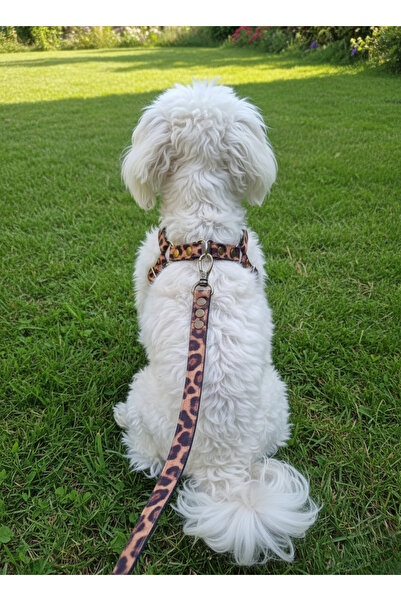 balkonda طوق للكلاب قابل للتعديل مع حزام للتنزه، مجموعة مناسبة للسلالات الصغي...