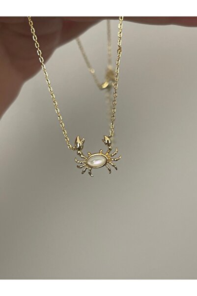 denizden silver Gümüş yengeç kolye - 45 cm