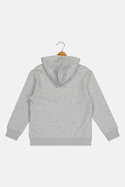 Reebok Kids Boy Brand Logo Long Sleeve Outdoor Hoodie, Grey