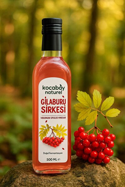 kocabay naturel mountain ash vinegar antioxidant detox 500 ml