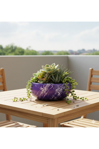 Alba Home Decor Yuvarlak sukulent kaktüs arajman saksı