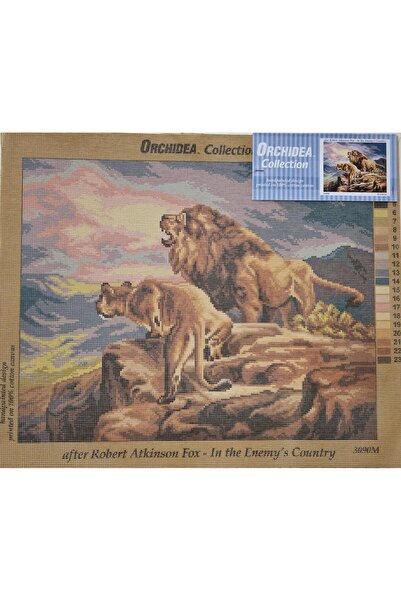 Orchidea cu imprimeu Tapiserie Leoi 3090 40*50 cm