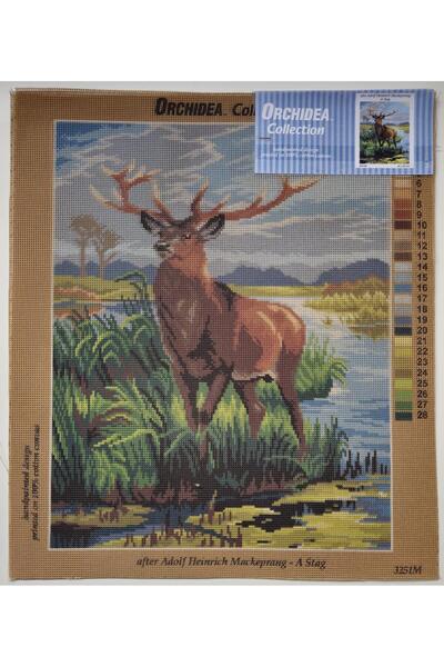 Orchidea Tapiserie 3251M 40x50