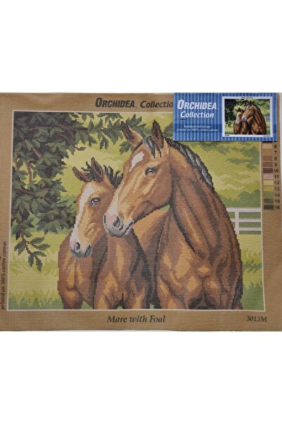 Orchidea Гоблен 3013M 40x50