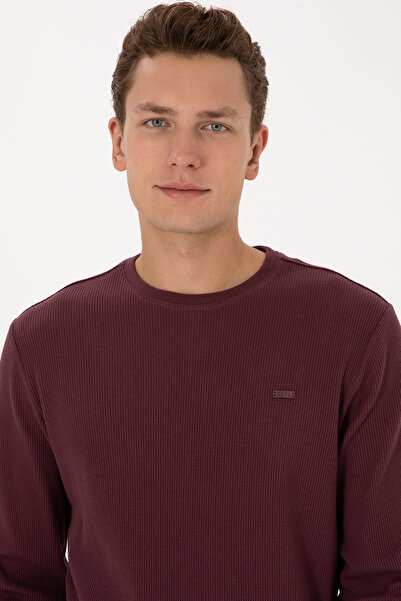 U.S. Polo Assn. Men's Burgundy Sweatshirt 50316390-Vr177