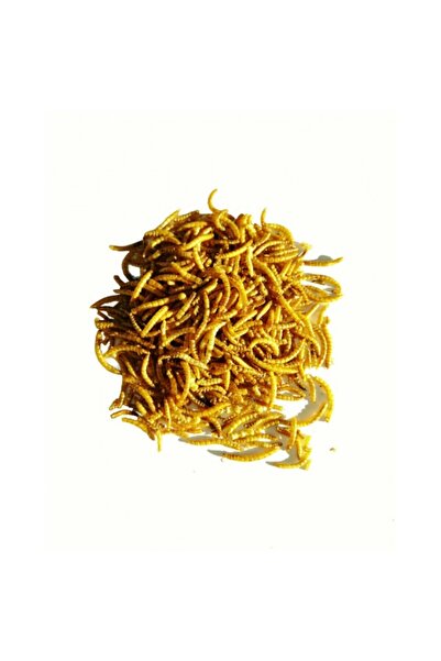 Golden cat Dried Mealworms (1 KG)