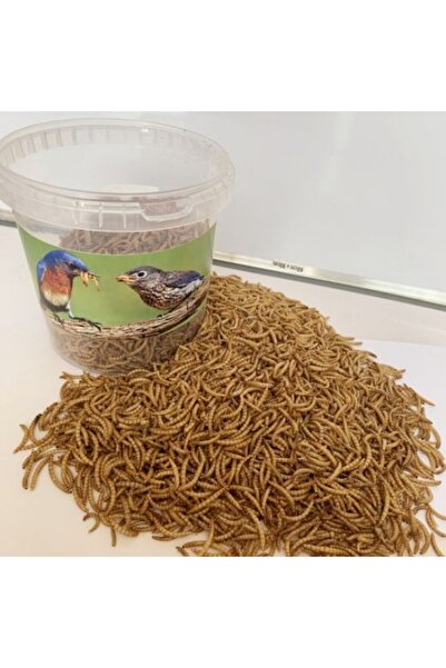 Golden cat Dried Mealworms (1 KG)