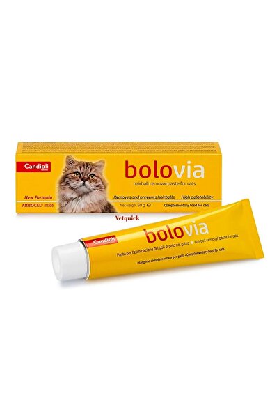 candioli Bolovia kedi maltı