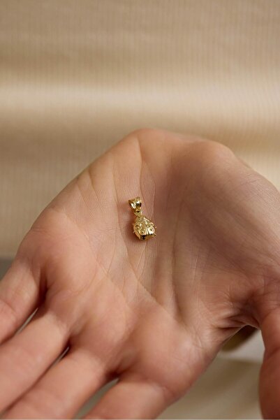 Tufanlar Kuyumculuk 14 Ayar Uğur Böceği Altın Kolye Ucu