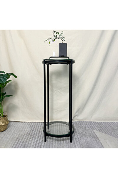 CHOIWIN 【2-Tier Tempered Glass Plant Stand & Side Table】 Sturdy Thickened Metal Frame Tall Storage Shelf