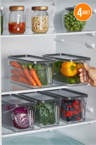 Orvila 4-Piece Transparent Refrigerator Organizer with Handles Food Storage Organizer Set 3.60 L