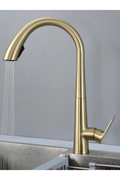 Fualora Hidden Spiral Kitchen Sink Faucet Matte-Gold