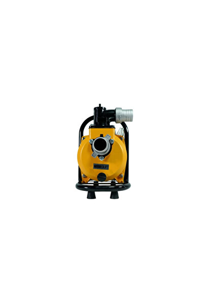 MEXXSUN DC Yüzey Pompa 1.5Hp 1100W (SFP20-17-1100W/96V)