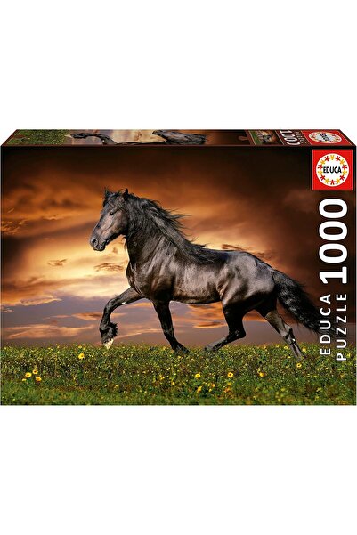 EDUCA أحجية حصان للكبار، 1000 قطعة