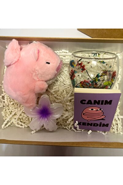 Frezya Hediyelik Kapibaralı Hediye Kutusu