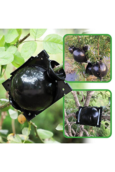 SMANIA Growball Plant Propagation Spheres, 5 GrowBall Spheres (M)