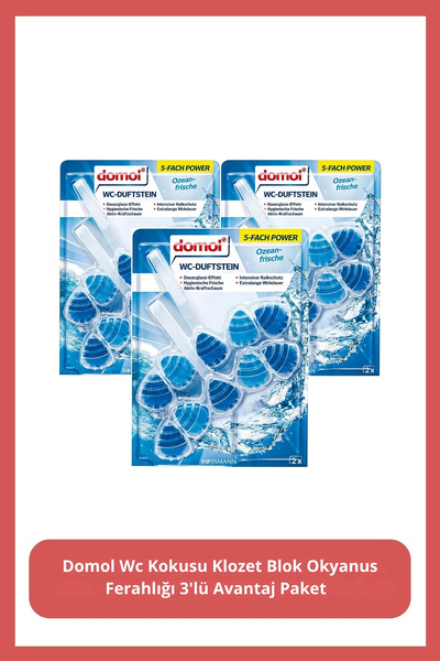 DOMOL Wc Kokusu Klozet Blok Okyanus Ferahlığı 110 gr 3'lü Avantaj Paket