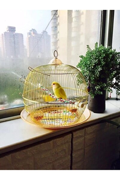 MyPetShop Bird Cage for Budgies, Finches, Lovebirds - 18 Inch (Gold) -
