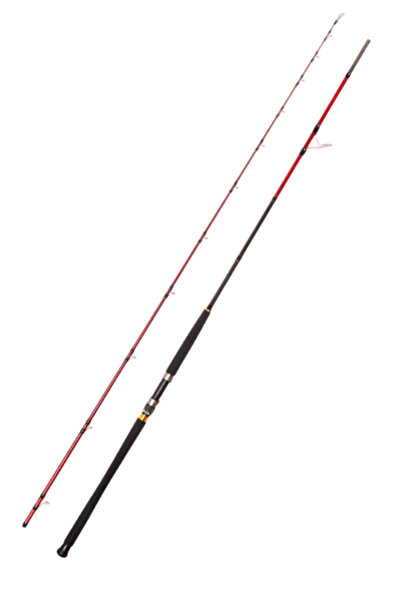 Caretta Vector 3.05 m 60-150 g Shore Jig Rod