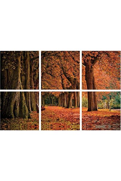 Sasb لوحة فنية جدارية متعددة الألوان بدون إطار، مكونة من 6 قطع