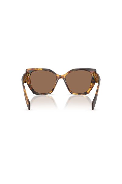 Prada Sunglasses Pr 19Zs 55 14l06b